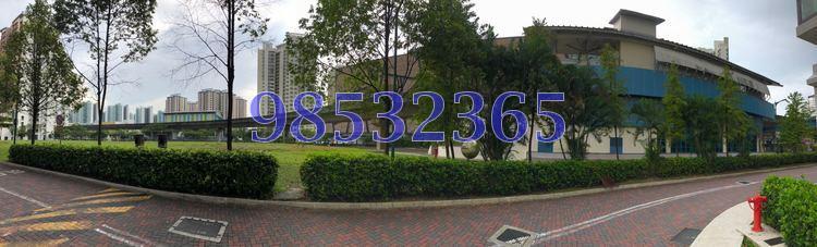 Blk 433B Sengkang West Way (Sengkang), HDB 4 Rooms #171917362